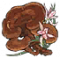 赤色灵芝.png