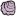 海月壳.png