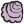 海月壳.png