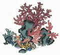 珊瑚丛 紫7.png
