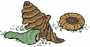 听浪石.png