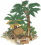 棕榈工坊.png