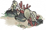 礁石珠栏.png