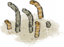 细沙花鳗.png