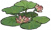 窈窕荷花.png