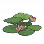 窈窕荷花.png