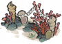 珊瑚珠栏.png