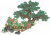 黄牡丹花径.png