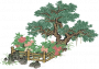 黄牡丹花径.png