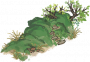 苍绿山坡.png