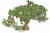 葡萄回廊.png