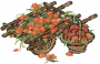 石榴推车.png