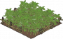 苎麻田.png