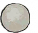 珍珠.png