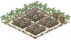 草药田.png