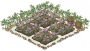 草药田.png