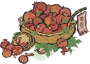 石榴果篮.png