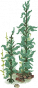 海草1.png