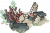 海草珠栏.png
