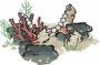 海草珠栏.png