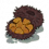 海胆.png