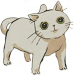 可爱小白猫.png