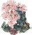 缘石繁樱.png