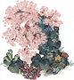 缘石繁樱.png