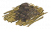 黑色贝壳摊.png