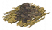 黑色贝壳摊.png