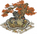 红枫盆景.png