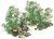 百合花圃.png