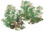 百合花圃.png
