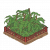 昙花.png