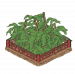 昙花.png