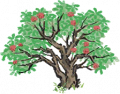 杨梅树7.png