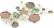 贝眠星海.png