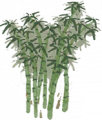 竹1.png
