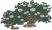 天仙山茶花.png