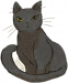 高傲小黑猫.png