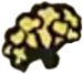 茱萸花.png