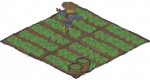 农田.png