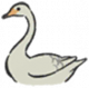 白天鹅.png