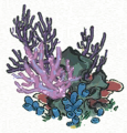 珊瑚丛 紫2.png
