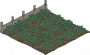 茶园.png