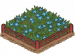 稀有龙胆.png