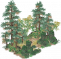 石刻林.png