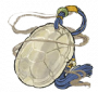 白龟玉佩.png