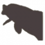 召唤锦鲤.png