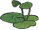 小荷莲蓬.png